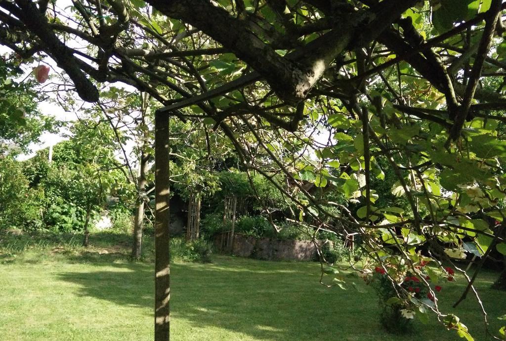 Gentil'Home - Toulouse B&B Prestige Fenouillet  Eksteriør bilde